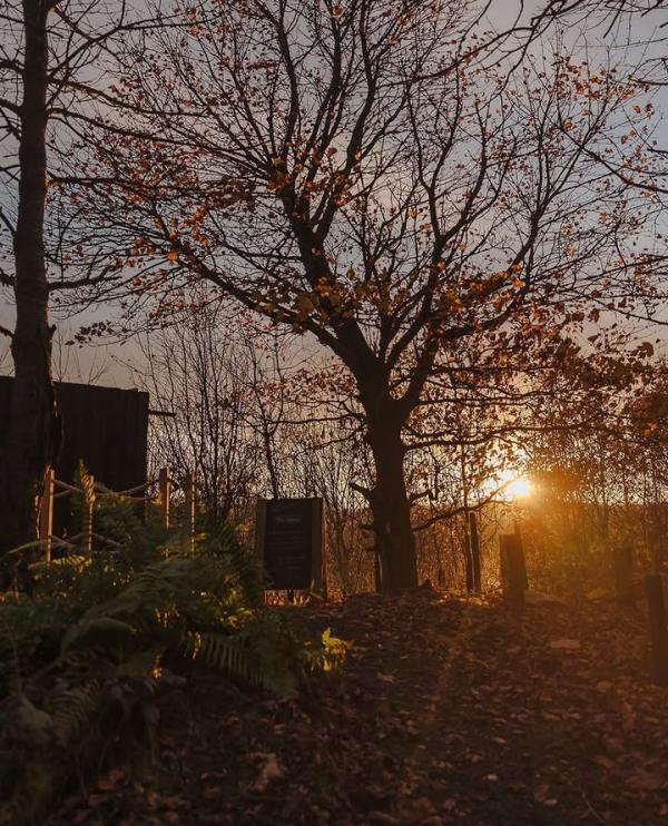 ❄️☀️Who’s loving these frosty, bright, super chilly mornings?❄️☀️
Here at Kirami, the crisp winter air only enhances the benefits of the steam boosting circulation, sharpening the senses and making every sauna and hot tub session feel truly invigorating 🔥🧖♀️
#WinterWellness #SaunaLife #ColdMornings #SteamTherapy #KiramiSauna #NordicTradition #WellbeingRitual #KiramiUK ❄️☀️Who’s loving these frosty, bright, super chilly mornings?❄️☀️
Here at Kirami, the crisp winter air only enhances the benefits of the steam boosting circulation, sharpening the senses and making every sauna and hot tub session feel truly invigorating 🔥🧖♀️
#WinterWellness #SaunaLife #ColdMornings #SteamTherapy #KiramiSauna #NordicTradition #WellbeingRitual #KiramiUK