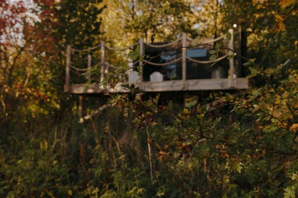 There's a comforting sense of calm that comes with the arrival of brighter mornings and extended evenings🌿✨Nestled amid the trees, this enchanting Misty sauna feels like a perfect retreat an ideal spot to pause, take a deep breath and savour the gentle shift of the seasons.With spring finally approaching, we can look forward to an uplifting surge of light and positivity. Who else is feeling these gentle yet uplifting transformations? 🌱☀️#SpringIsOnTheWay #ExtendedDays #SaunaExperience #NatureHideaway #MindfulLiving #SeasonalJoy #AmongTheTrees There's a comforting sense of calm that comes with the arrival of brighter mornings and extended evenings🌿✨Nestled amid the trees, this enchanting Misty sauna feels like a perfect retreat an ideal spot to pause, take a deep breath and savour the gentle shift of the seasons.With spring finally approaching, we can look forward to an uplifting surge of light and positivity. Who else is feeling these gentle yet uplifting transformations? 🌱☀️#SpringIsOnTheWay #ExtendedDays #SaunaExperience #NatureHideaway #MindfulLiving #SeasonalJoy #AmongTheTrees